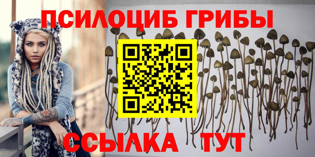 Псилоцибиновые грибы GOLDEN TEACHER  Вход с VPN  Ухта  даркнет сайт  Галлюциногенные грибы мухоморы 