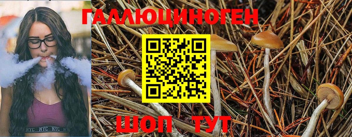 Галлюциногенные грибы Magic Shrooms Ухта